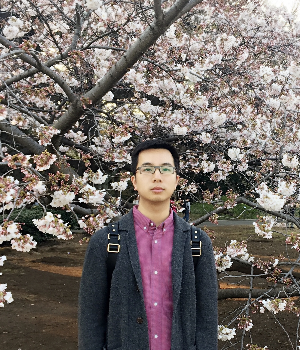 世界杯赛事官网