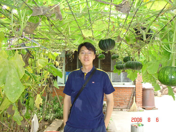 世界杯赛事官网